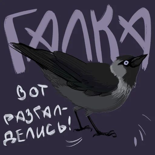 Птицы-озорницы Diana Muñoz sticker 11