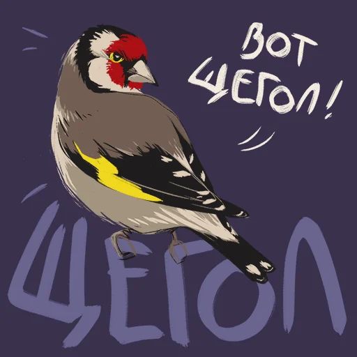 Птицы-озорницы Diana Muñoz sticker 12