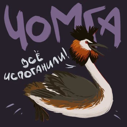 Птицы-озорницы Diana Muñoz sticker 13