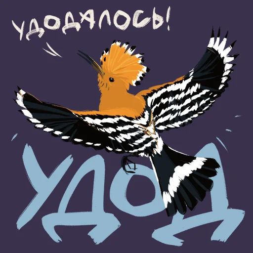 Птицы-озорницы Diana Muñoz sticker 19