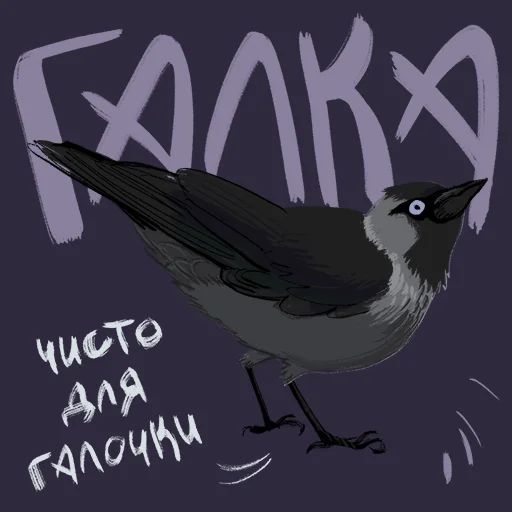 Птицы-озорницы Diana Muñoz sticker 20