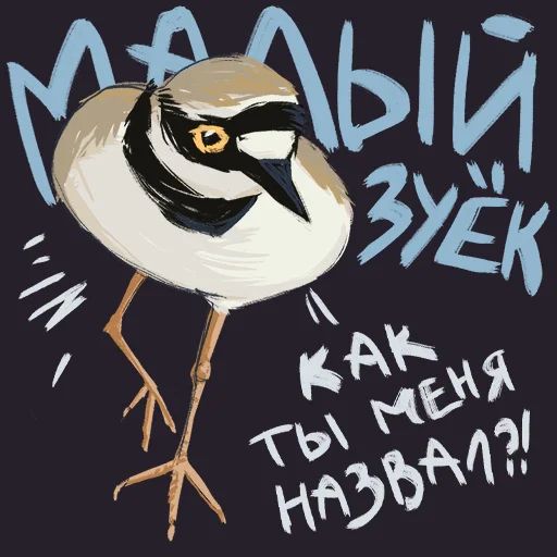 Птицы-озорницы Diana Muñoz sticker 3