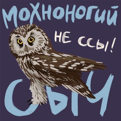 Птицы-озорницы Diana Muñoz sticker 21