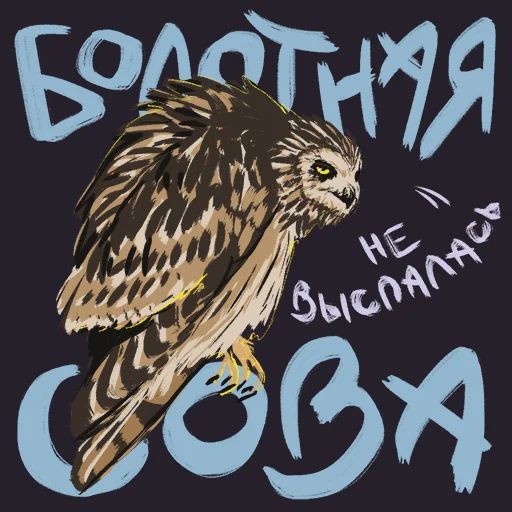 Птицы-озорницы Diana Muñoz sticker 22