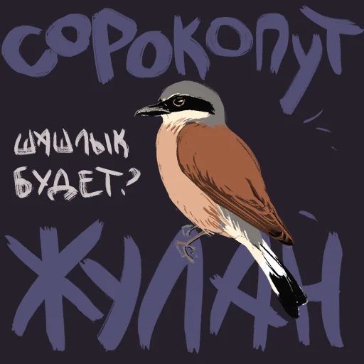 Птицы-озорницы Diana Muñoz sticker 24