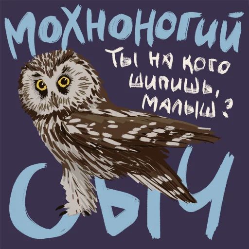 Птицы-озорницы Diana Muñoz sticker 4