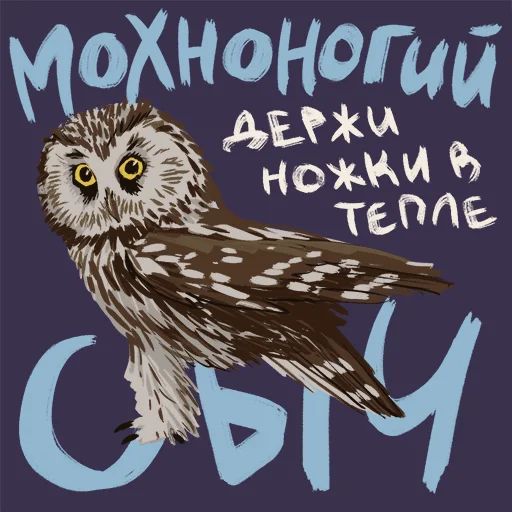 Птицы-озорницы Diana Muñoz sticker 32