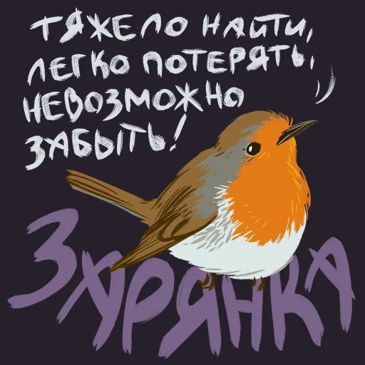 Птицы-озорницы Diana Muñoz sticker 6