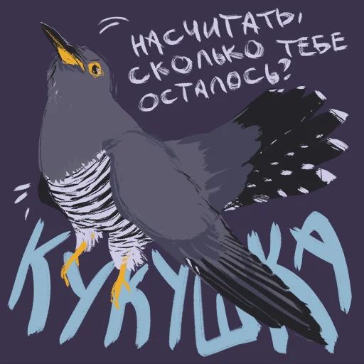 Птицы-озорницы Diana Muñoz sticker 8