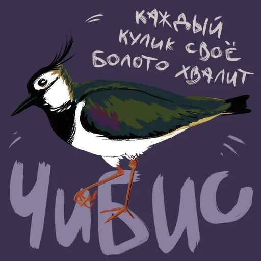 Птицы-озорницы Diana Muñoz sticker 9