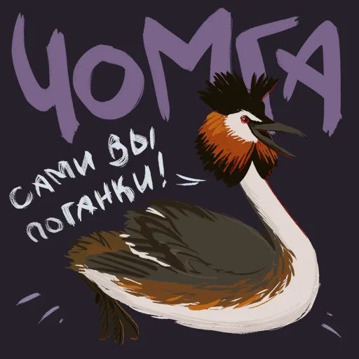 Птицы-озорницы Diana Muñoz sticker 10