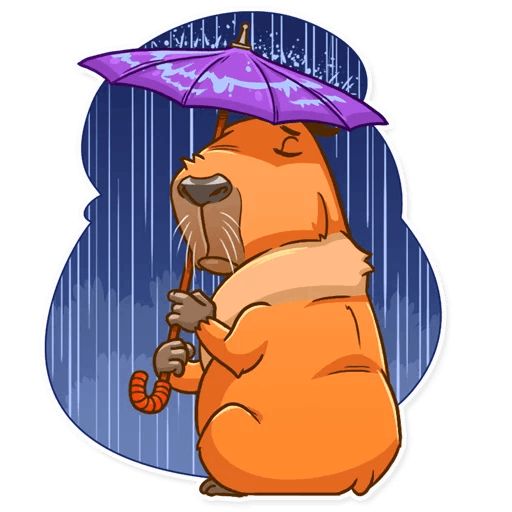 Mr. Capybara sticker 16