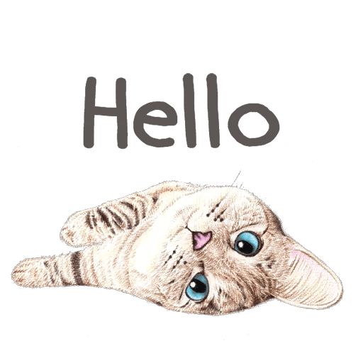 Nala & White Coffee Cat Telegram sticker pack