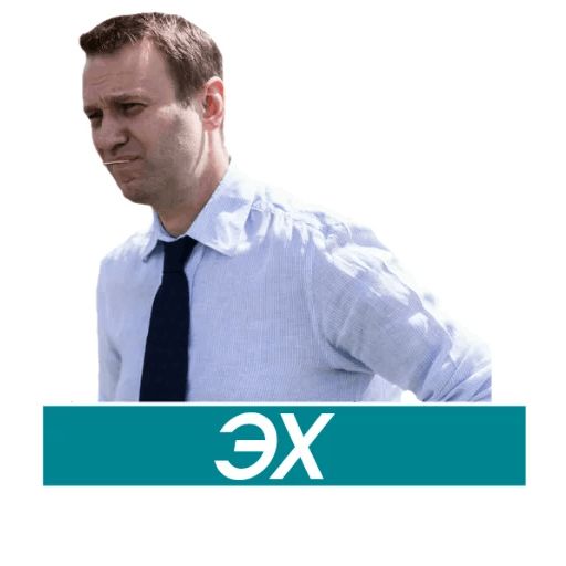 Навальный sticker 12