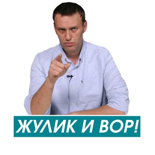 Навальный sticker 22