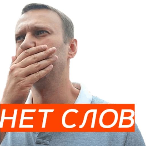 Навальный sticker 26