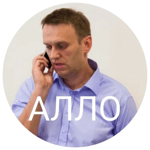 Навальный sticker 33