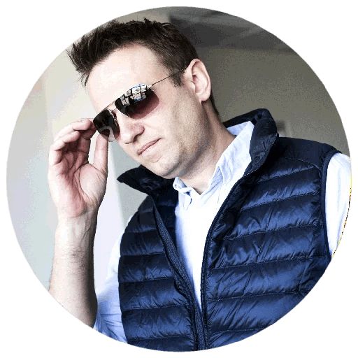 Навальный sticker 38