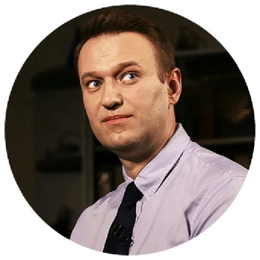 Навальный sticker 39