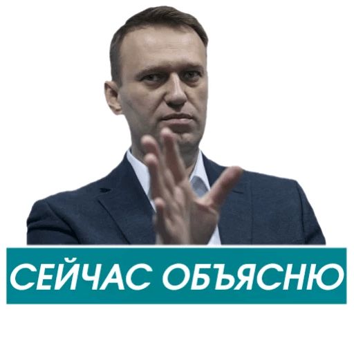 Навальный sticker 5