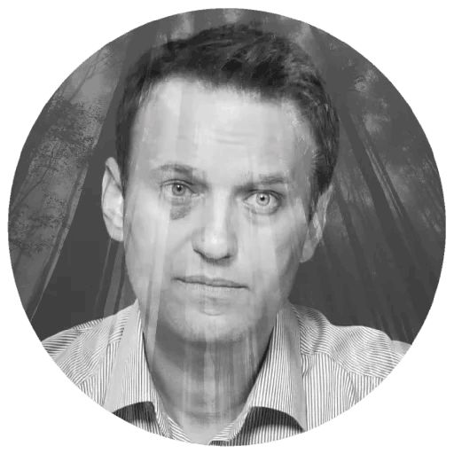 Навальный sticker 42