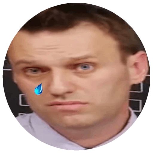 Навальный sticker 43