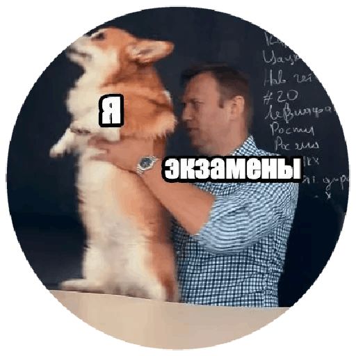 Навальный sticker 56