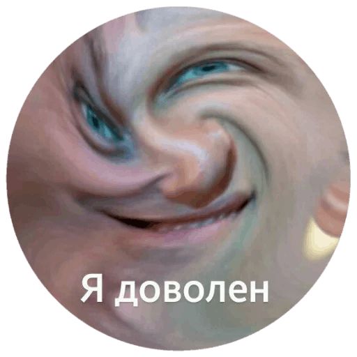 Навальный sticker 57