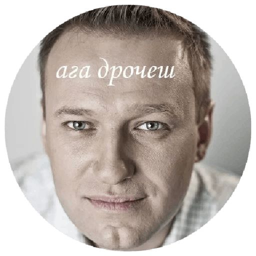 Навальный sticker 58