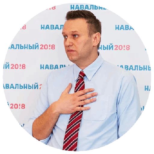 Навальный sticker 67