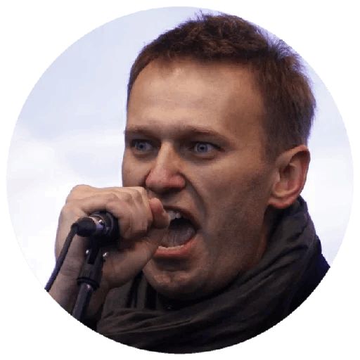 Навальный sticker 68