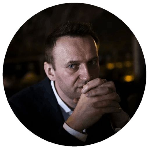 Навальный sticker 75