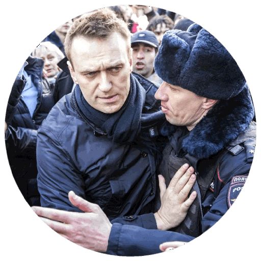 Навальный sticker 87