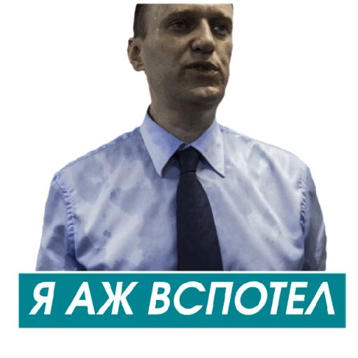 Навальный sticker 10