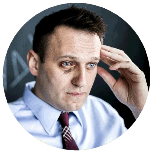 Навальный sticker 91