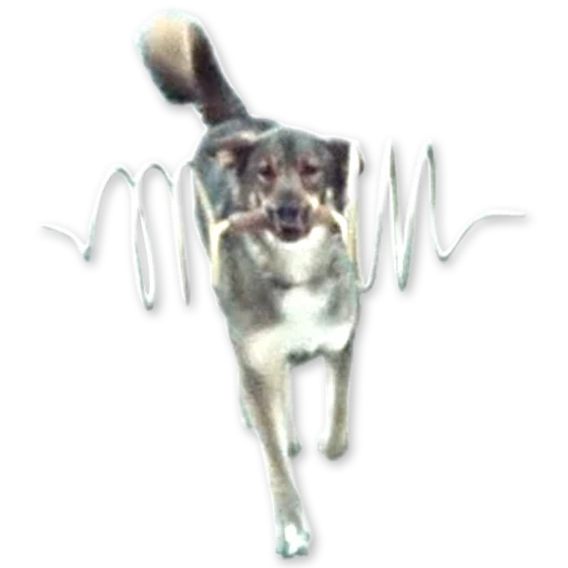 Самогонщики sticker 30