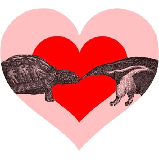 O'Reilly bookshelf stories sticker 11