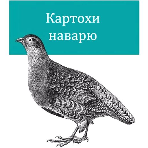 O'Reilly bookshelf stories sticker 13