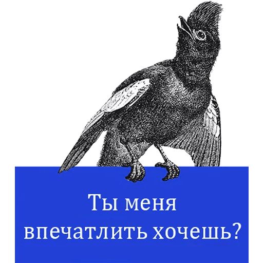 O'Reilly bookshelf stories sticker 14