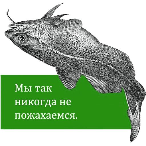 O'Reilly bookshelf stories sticker 15