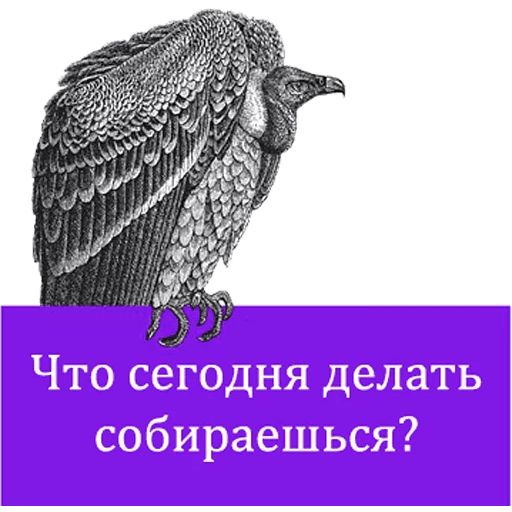 O'Reilly bookshelf stories sticker 16