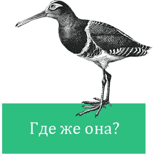 O'Reilly bookshelf stories sticker 19