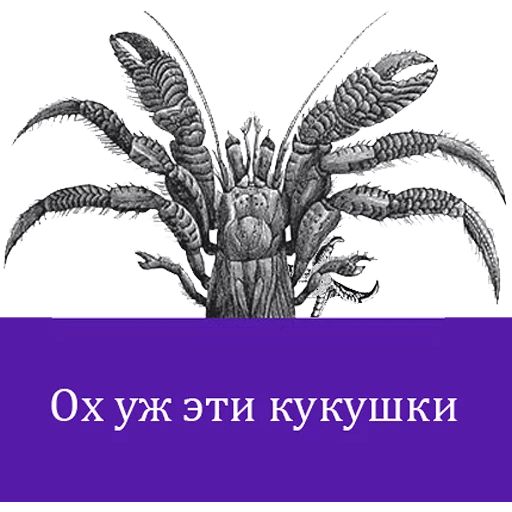 O'Reilly bookshelf stories sticker 20