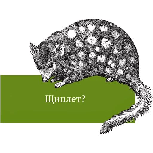 O'Reilly bookshelf stories sticker 3