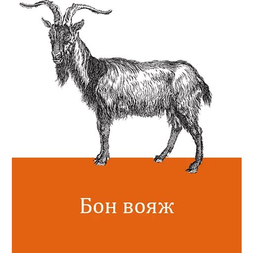 O'Reilly bookshelf stories sticker 4