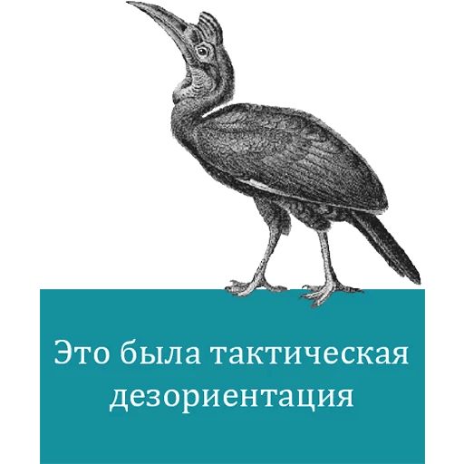 O'Reilly bookshelf stories sticker 6