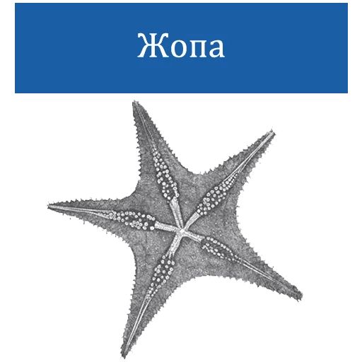 O'Reilly bookshelf stories sticker 7