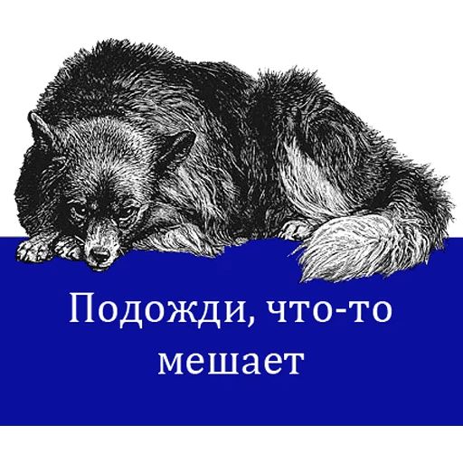 O'Reilly bookshelf stories sticker 8