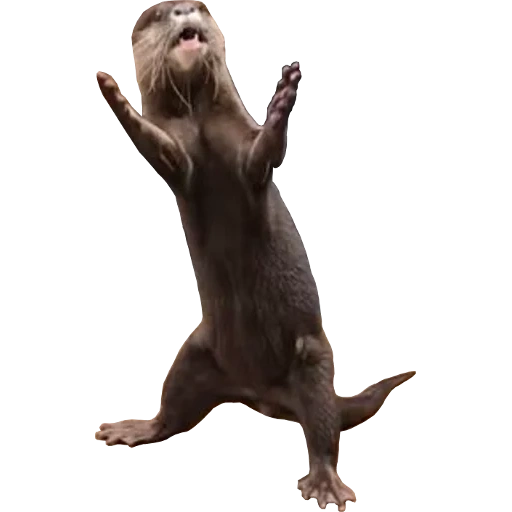 Otters Gotta Ott 2 sticker 101