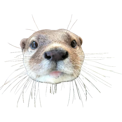 Otters Gotta Ott 2 sticker 103